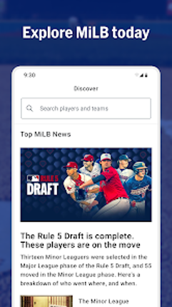 MiLB Image