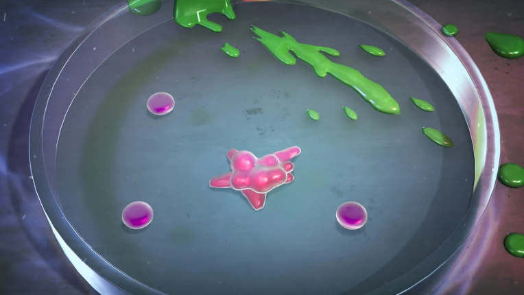 NEVERFED Image