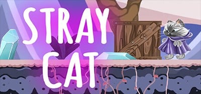 STRAY CAT Image