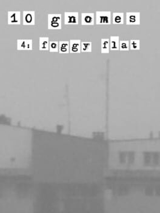 10 Gnomes 4: Foggy Flat Image