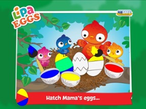 Lipa Eggs Image