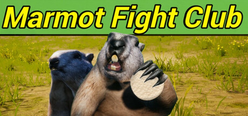 Marmot Fight Club Image