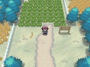 Pokémon Black Version Image