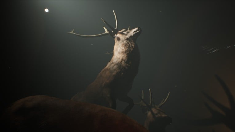 Project 13: Taxidermy Image