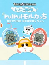 Pui Pui Molcartchi Driving School ver. Image