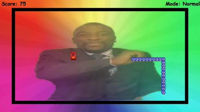 Snake - MLG edition screenshot