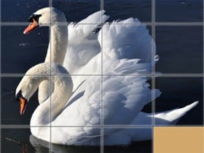 Animals Slide Puzzle Image