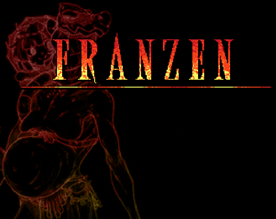 Franzen Image