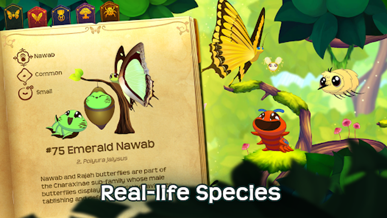 Flutter: Butterfly Sanctuary Image