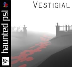 Vestigial Image