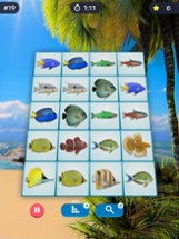 Match Pairs 3D: Matching Game Image