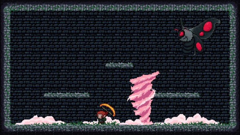 Spiretela Image