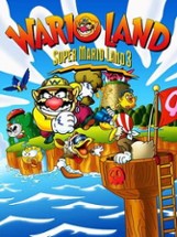 Wario Land: Super Mario Land 3 Image