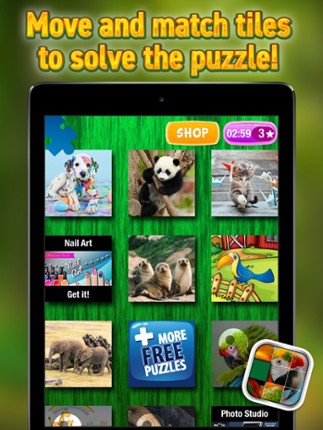Animals Sliding Puzzle Game – Move and Match Pieces to Put Together Cute Pets Photos Image