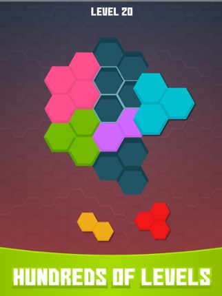 BlockHexa Puzzle Mania screenshot