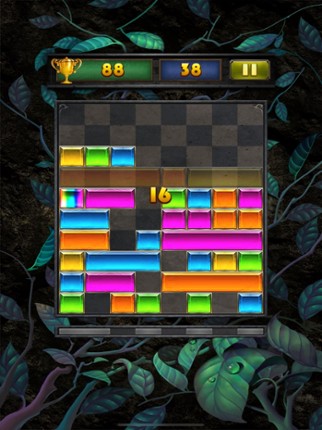 Drop Block Puzzle screenshot