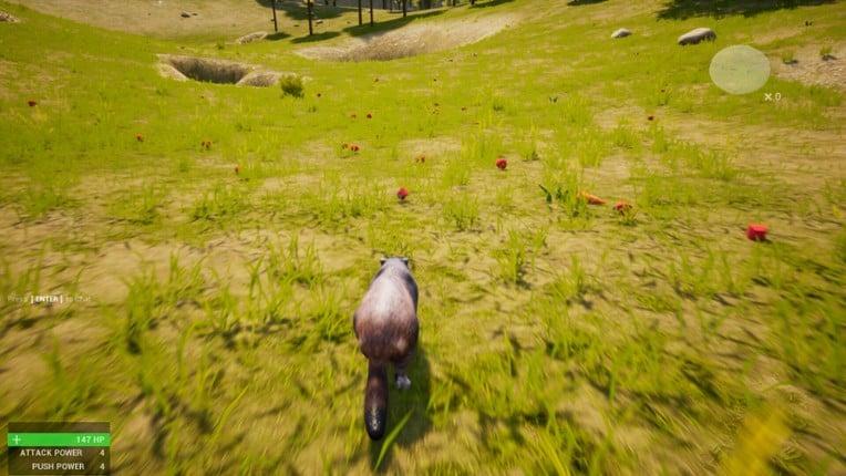 Marmot Fight Club screenshot