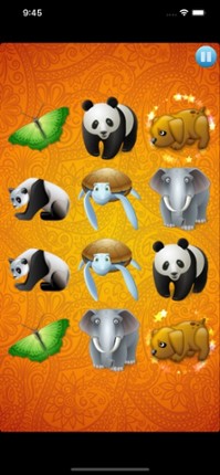 Match Family Puzzle screenshot