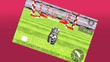 3D Kitty Cat Simulator Image