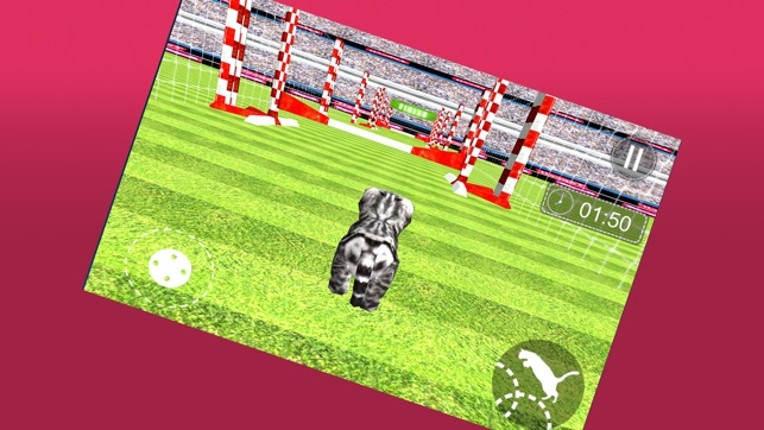 3D Kitty Cat Simulator Image