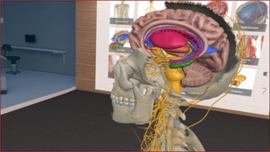 3D Organon VR Anatomy Image