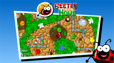 Beetle goes Home Image