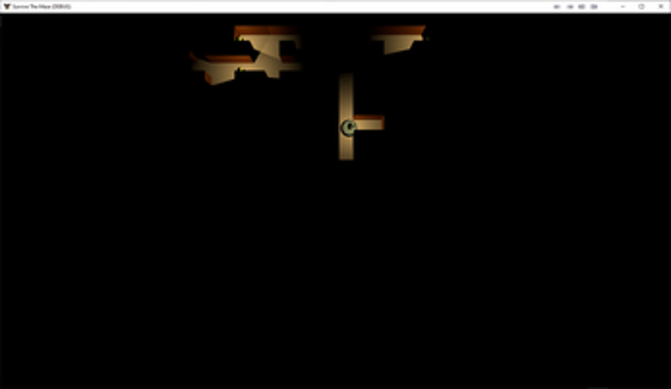 Survive The Maze screenshot