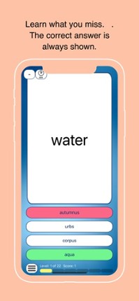 Latin Vocabulary Quiz Image