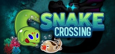 Snake Crossing Image