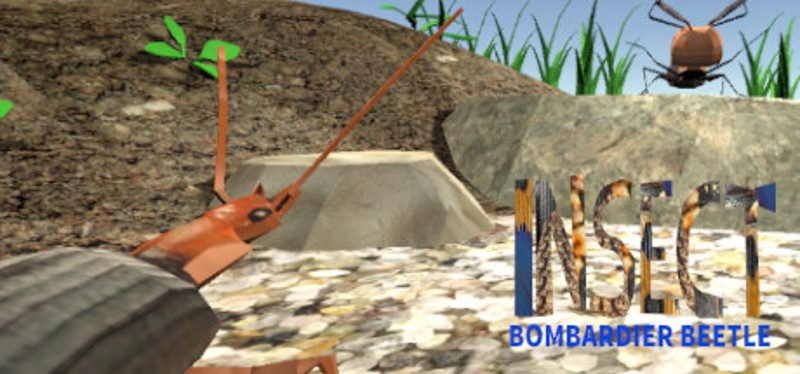 Bombardier Beetle Image