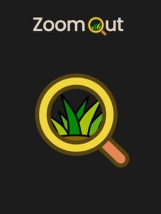 ZoomOut Image