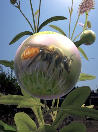 AR Biodiversity Image