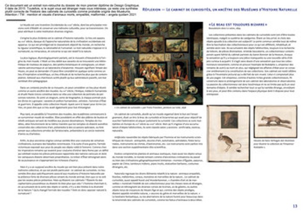 Cabinet de curiosités Image