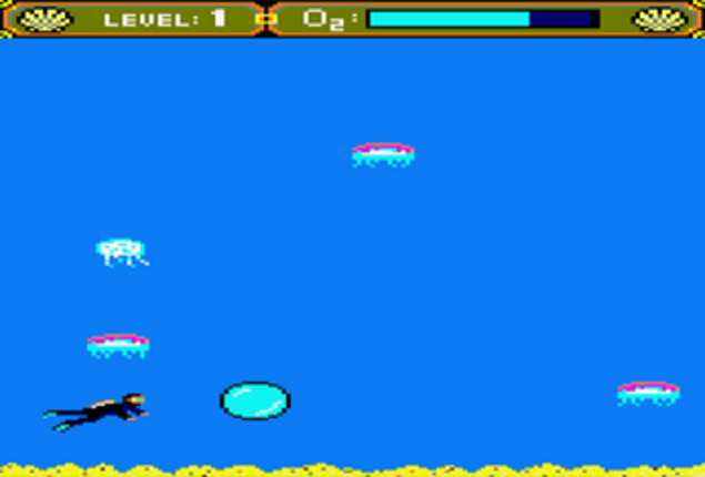 DiveJely Image