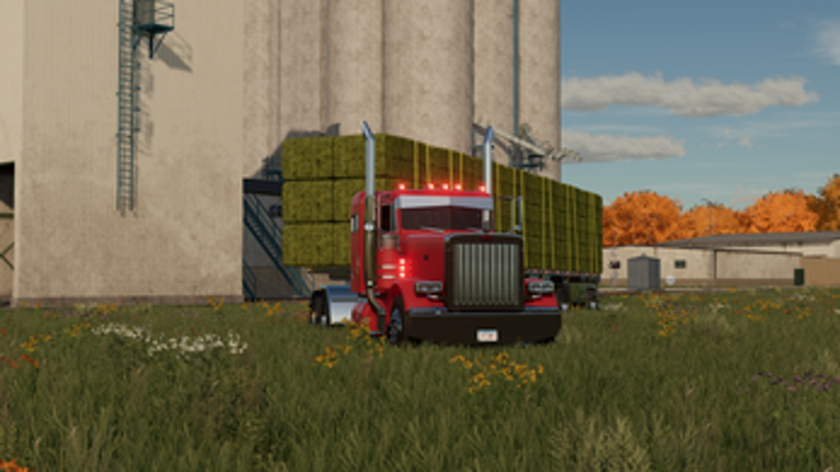 Peterbilt 379 Image