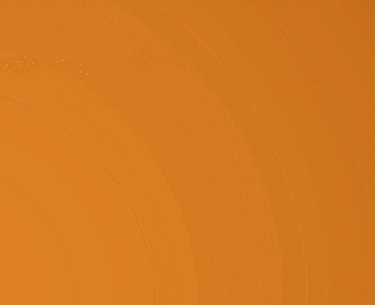 SkyGuard Image