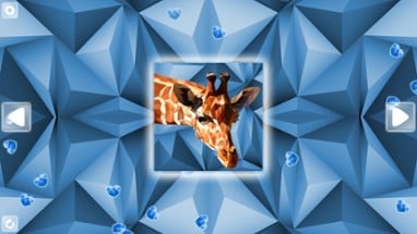 Poly Puzzle: Animals Image