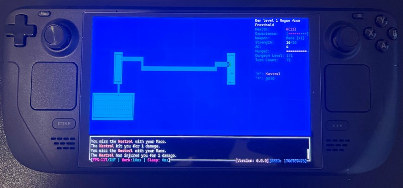 Rogue Remastered screenshot