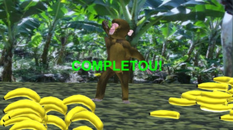 Jogo dos Macacos Image