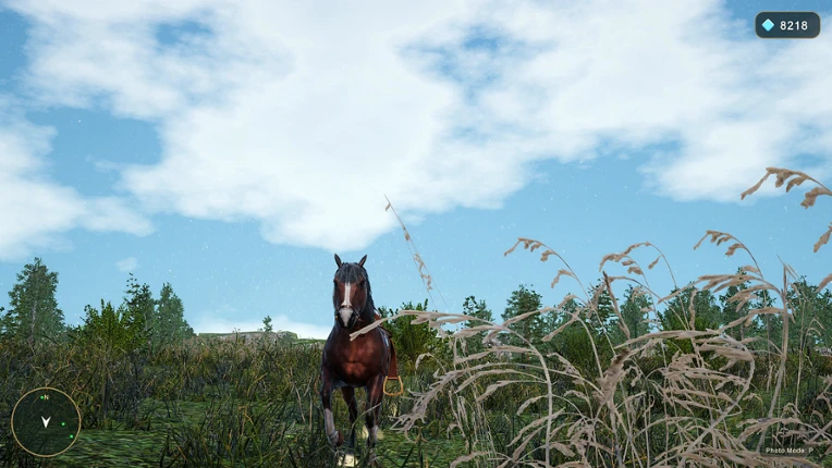 Horse Spirit Valley 2 screenshot