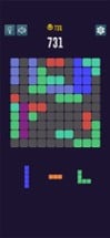 1010 Block Puzzle Classic Game Image