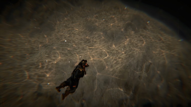 Black Flag Rising screenshot