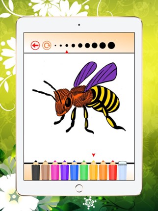 Coloring Book Insect and Arachnid: Learn to paint and color a bee, spider and more screenshot