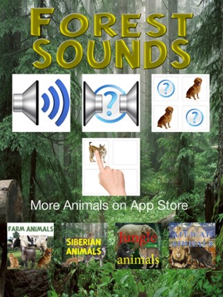Forest Sounds Free screenshot