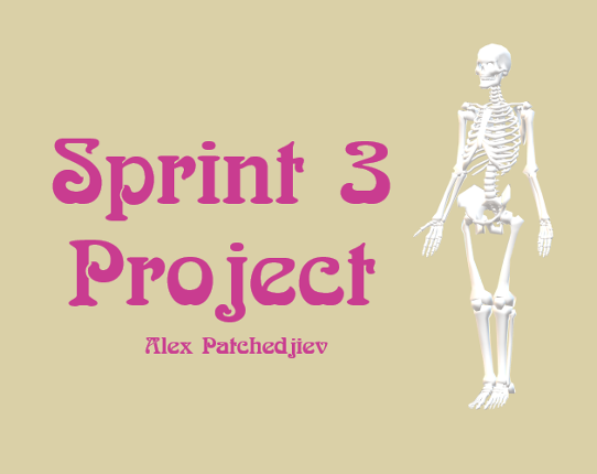 Sprint 3 Project Image