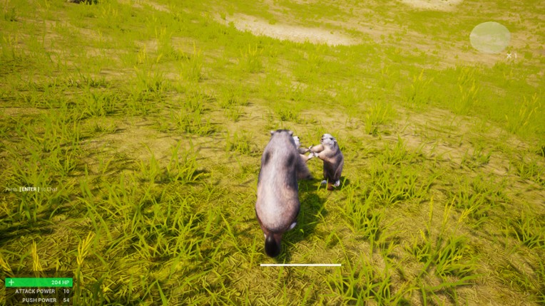 Marmot Fight Club screenshot