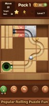 Move the Ball : Slide Puzzle Image