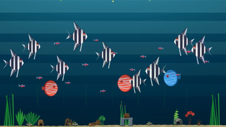 Nanoquarium Image