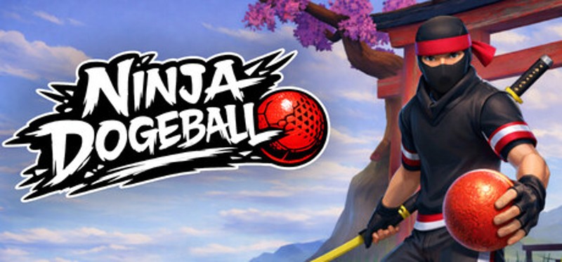 Ninja Dodgeball Image