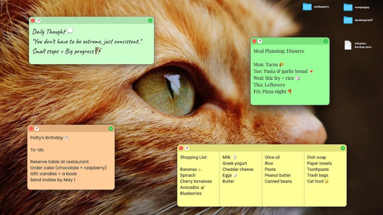 Plain Text Sticky Notes screenshot
